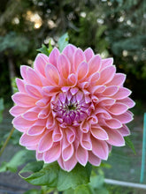 Load image into Gallery viewer, Castle Drive