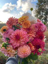 Load image into Gallery viewer, Sugar Flower Farm Collection - 5 Tubers