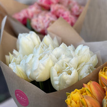 Load image into Gallery viewer, Specialty Tulip | Mondial | 10 Bulbs